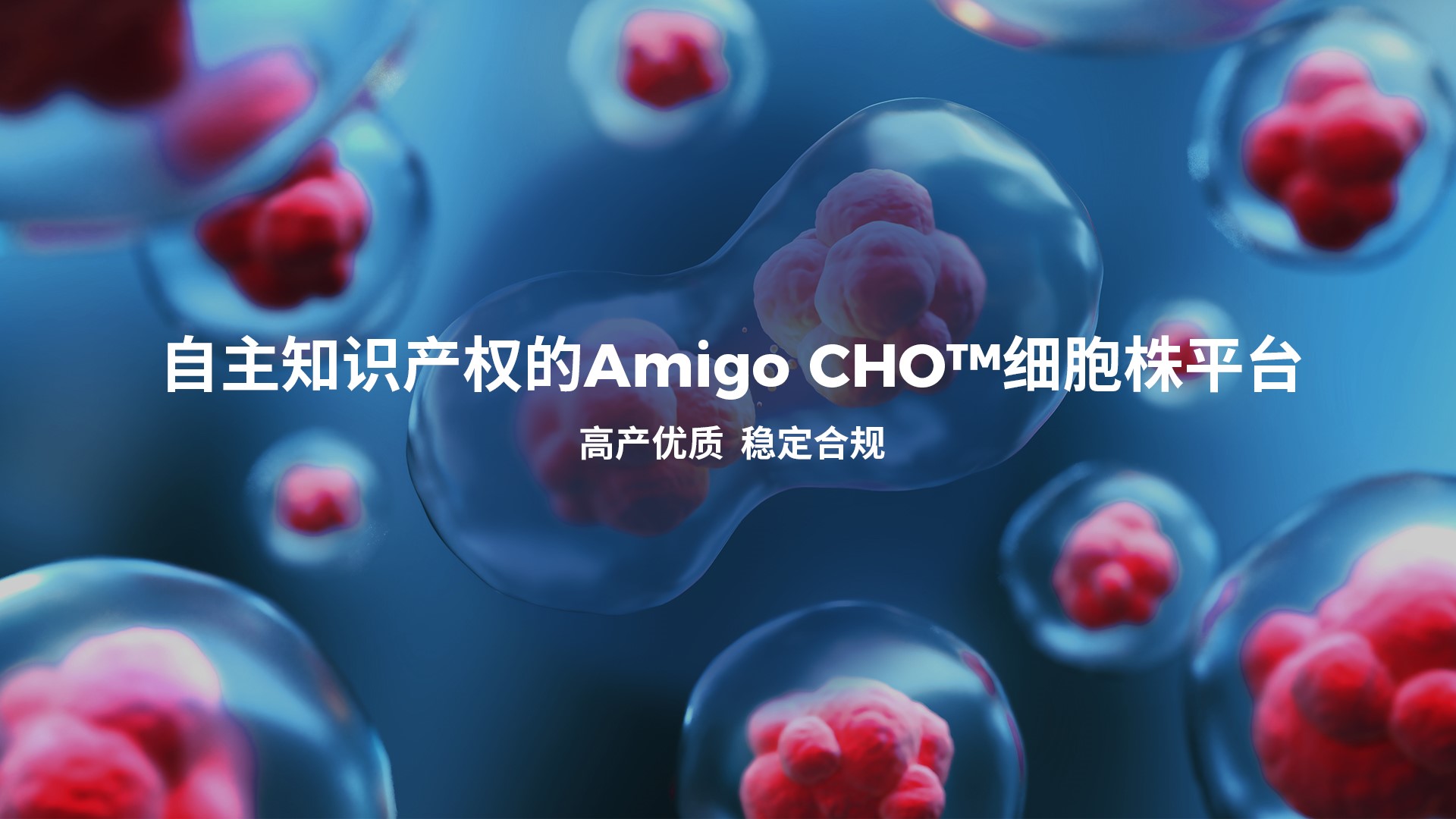 pp电子模拟器(试玩游戏)官方网站